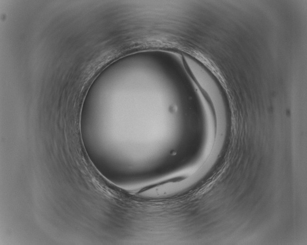 X0000067390481200604211637