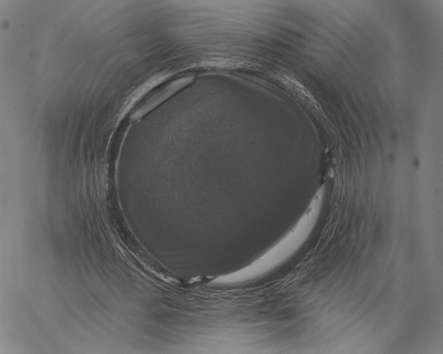 X0000067390484200604211637