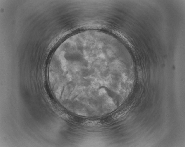 X0000067390487200604211637