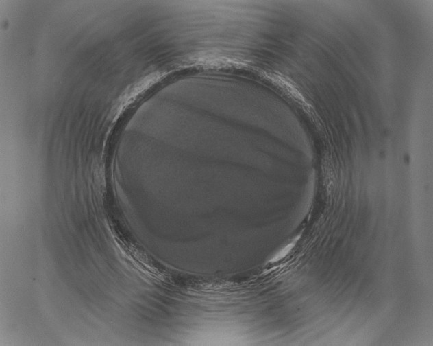 X0000067390488200604211637