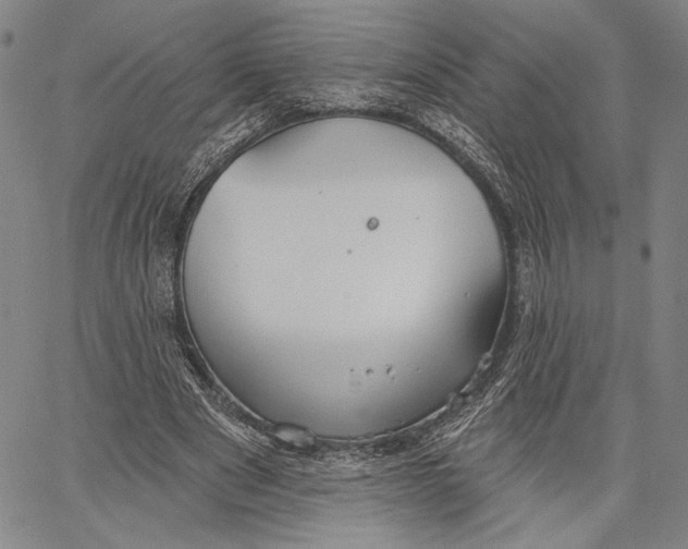 X0000067390489200604211637