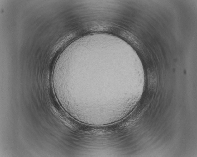 X0000067390490200604211637