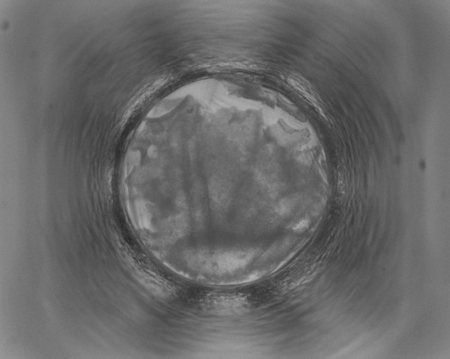 X0000067390491200604211637