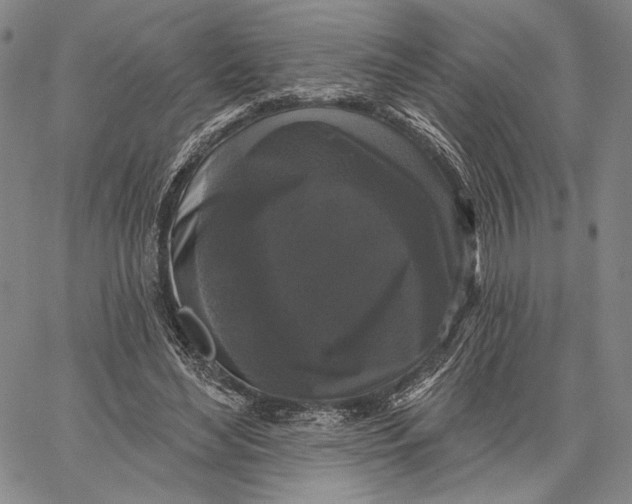 X0000067390492200604211637