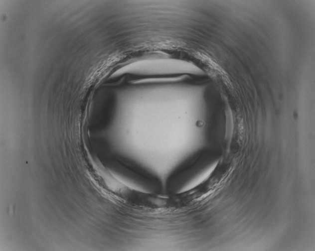 X0000067390493200604211637