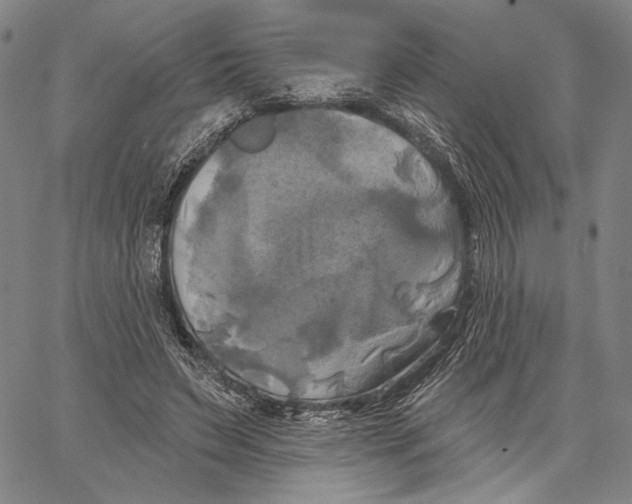 X0000067390495200604211637