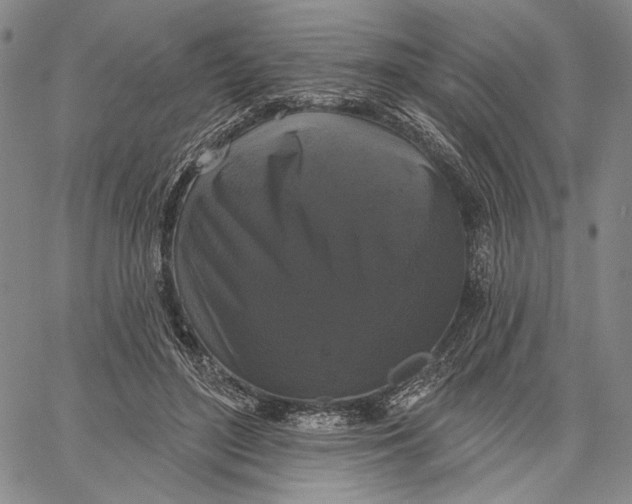 X0000067390500200604211637