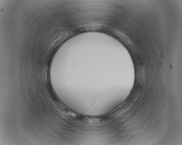 X0000067390501200604211637