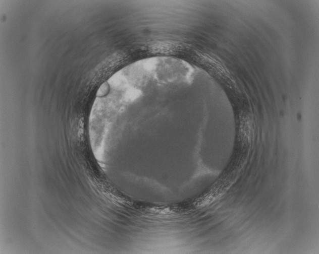 X0000067390502200604211637