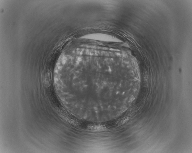 X0000067390503200604211637