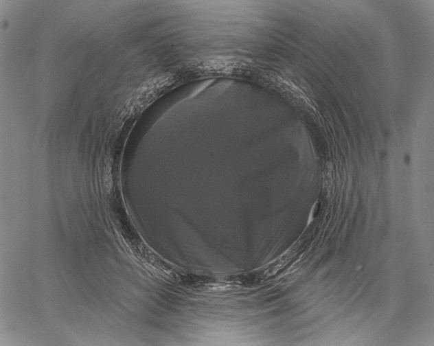 X0000067390504200604211637