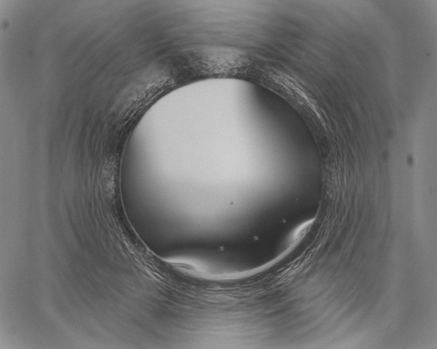 X0000067390505200604211637