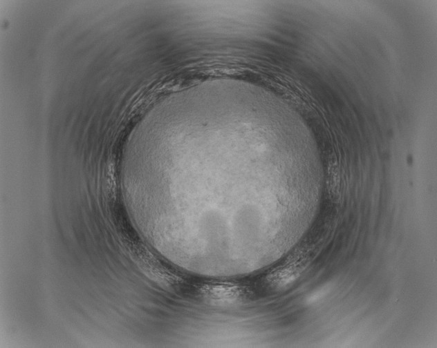 X0000067390506200604211637