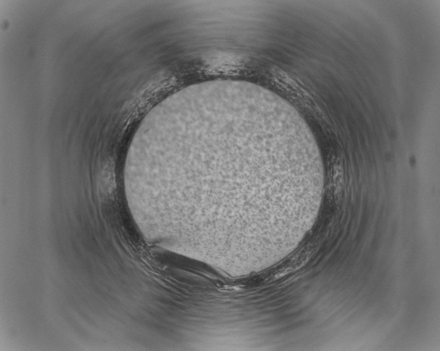 X0000067390508200604211637