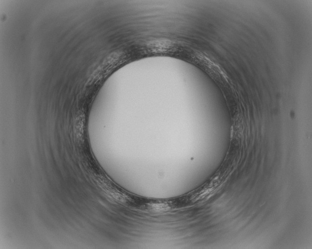 X0000067390509200604211637