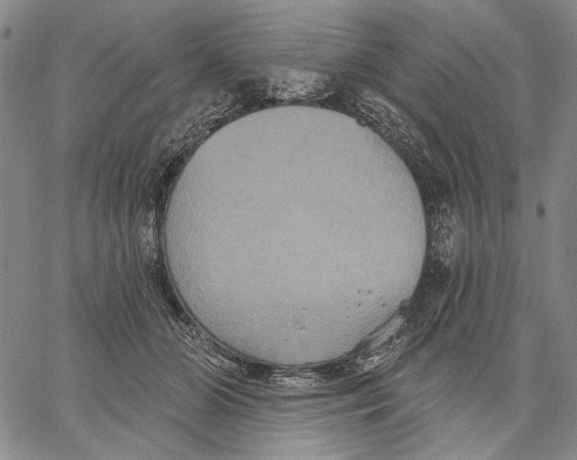 X0000067390510200604211637