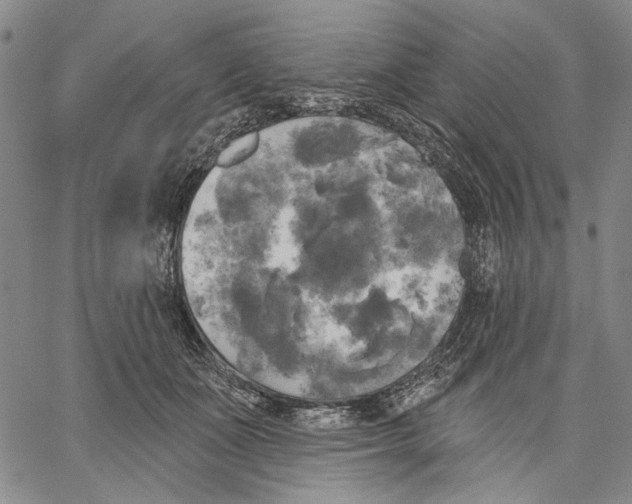 X0000067390511200604211637