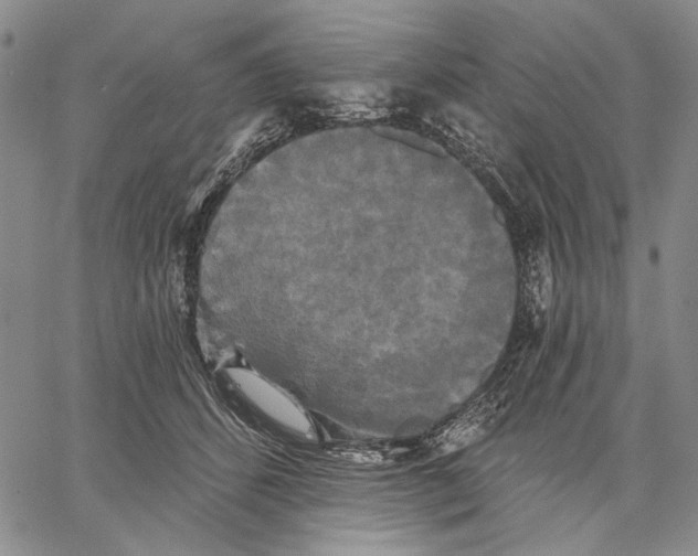 X0000067390512200604211637