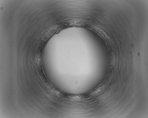 X0000067390513200604211637