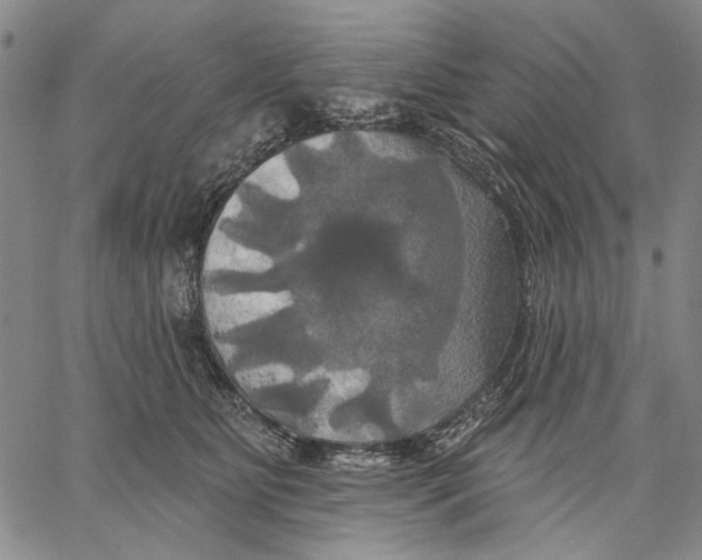 X0000067390515200604211637