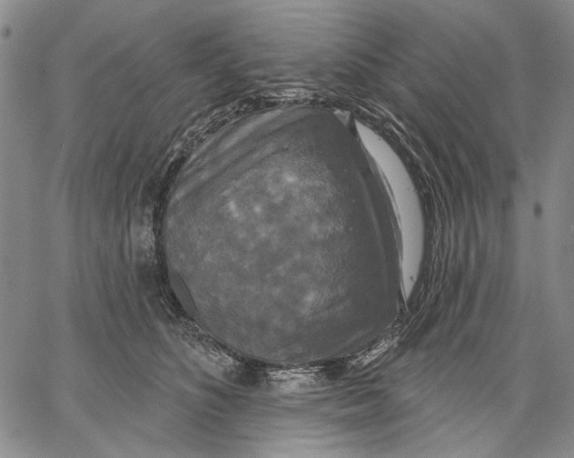 X0000067390516200604211637