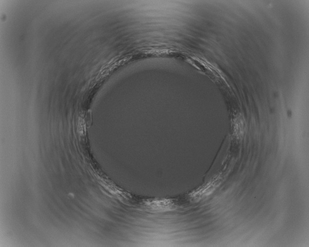 X0000067390517200604211637