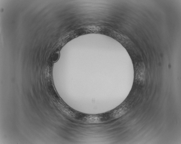 X0000067390518200604211637