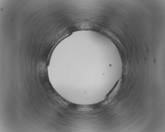 X0000067390521200604211637