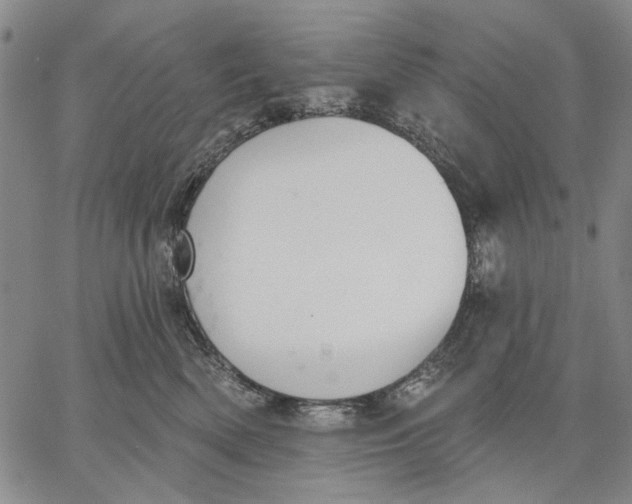 X0000067390522200604211637