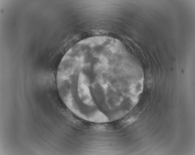 X0000067390523200604211637