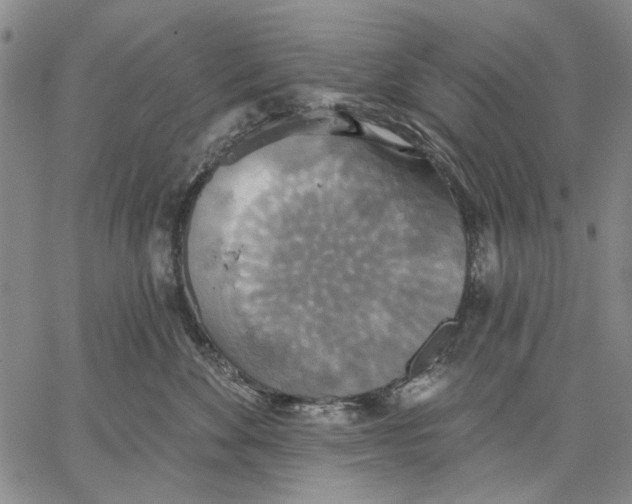 X0000067390524200604211637