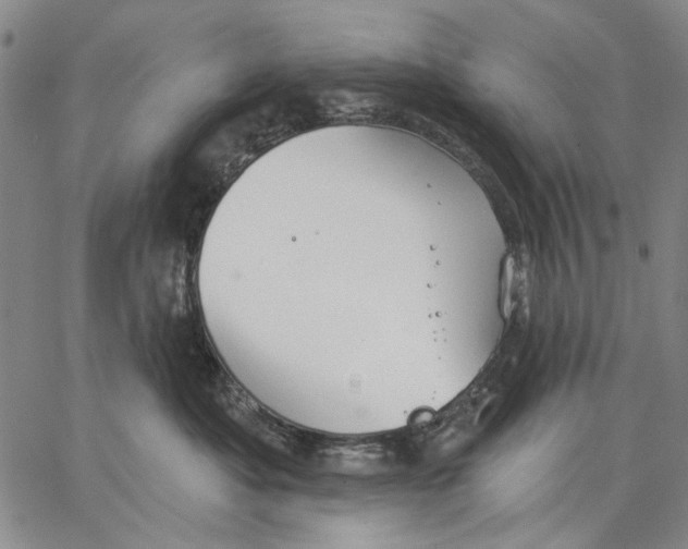 X0000067390525200604211637