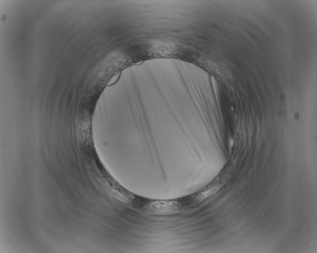 X0000067390526200604211637