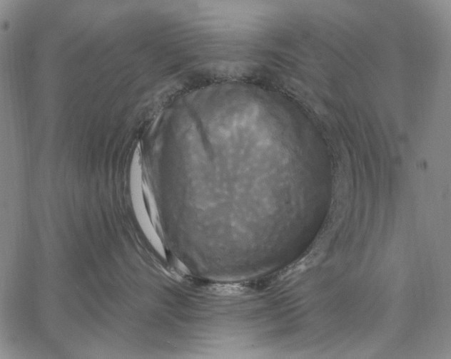 X0000067390528200604211637