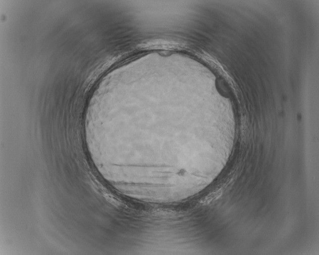 X0000067390529200604211636