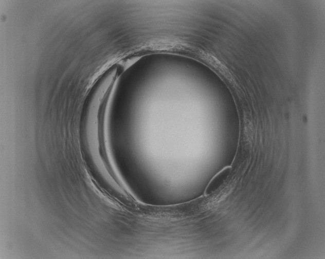 X0000067390530200604211636