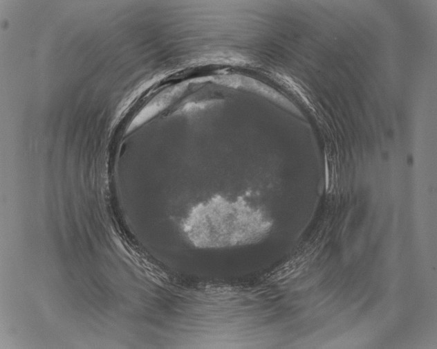 X0000067390531200604211636