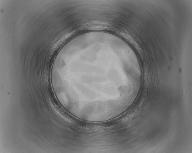 X0000067390533200604211636