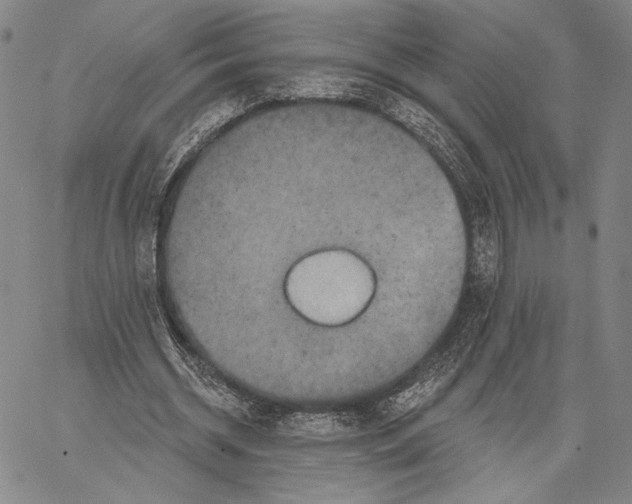 X0000067390534200604211636