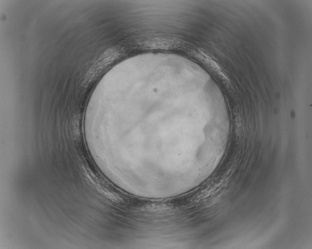 X0000067390537200604211636