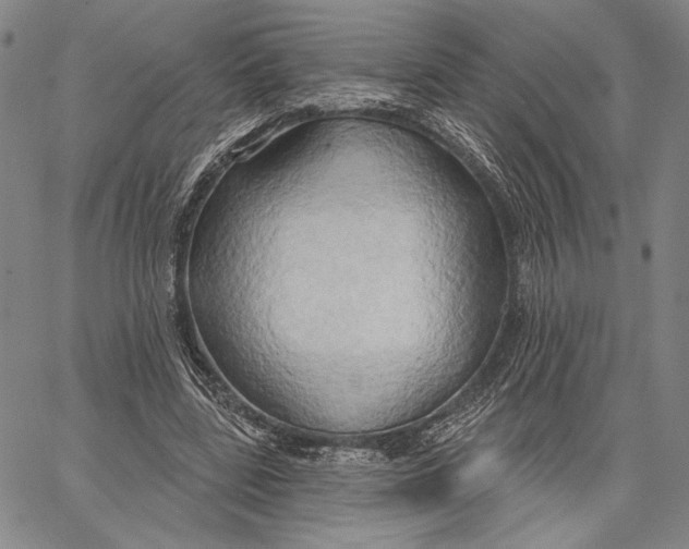 X0000067390539200604211636