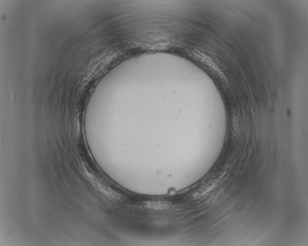 X0000067390541200604211636