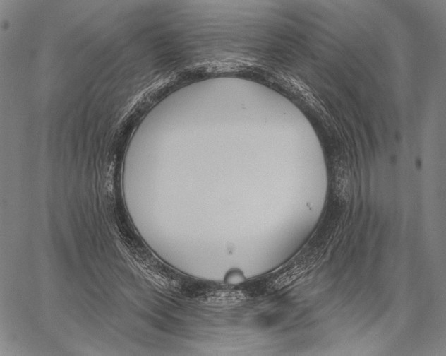 X0000067390543200604211636