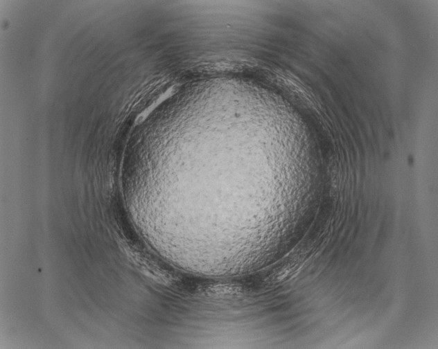 X0000067390546200604211636