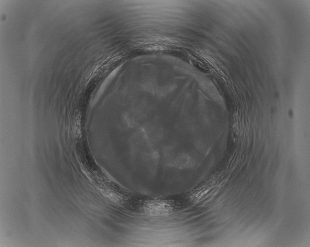 X0000067390547200604211636