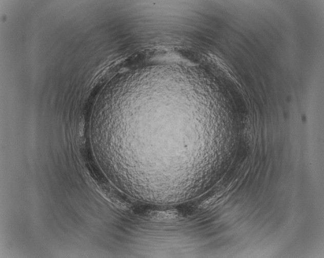 X0000067390548200604211636