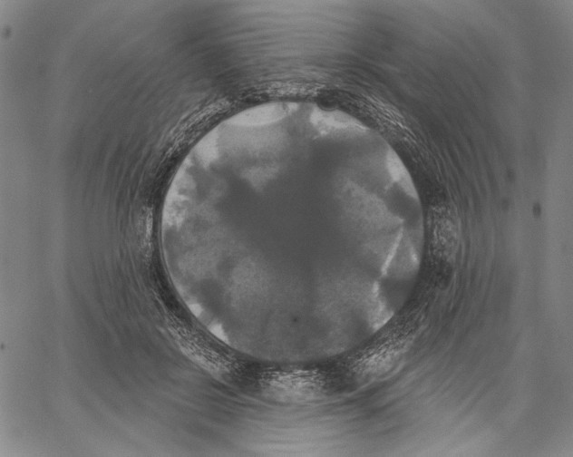 X0000067390550200604211636