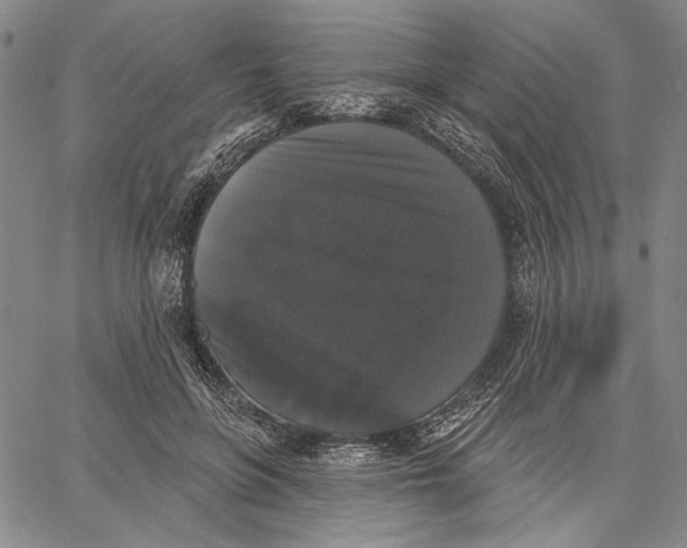 X0000067390551200604211636