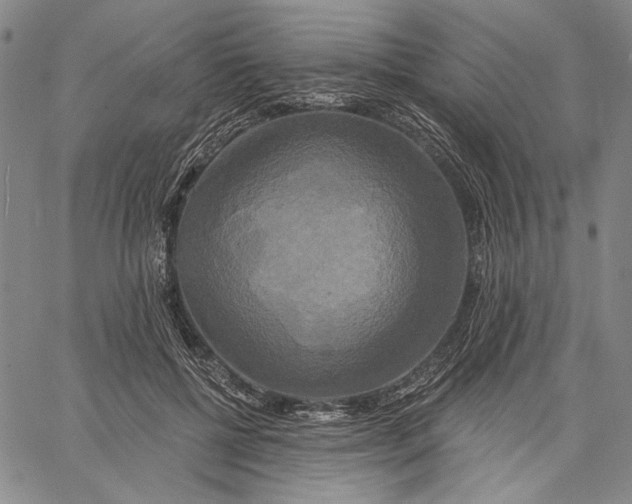 X0000067390552200604211636