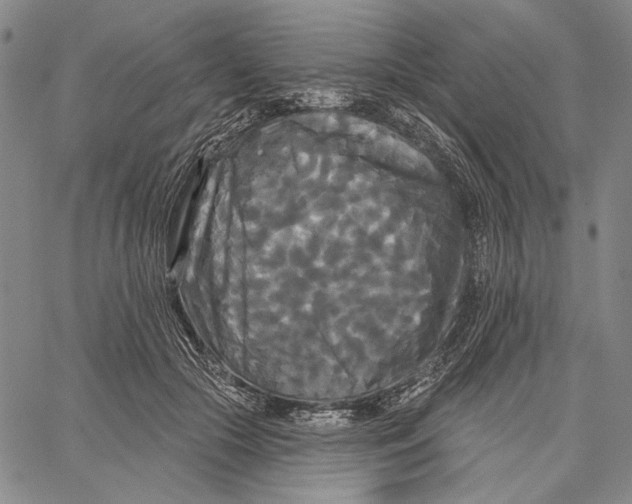 X0000067390553200604211636